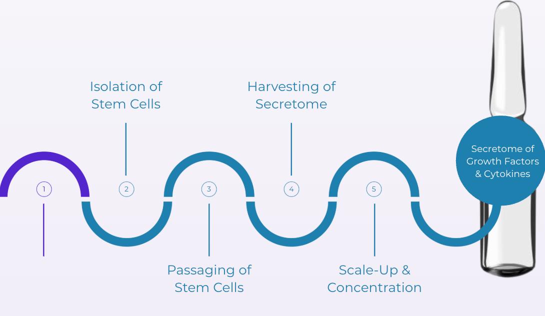 WhatsApp Image 2026-03-31 at 18.46.14